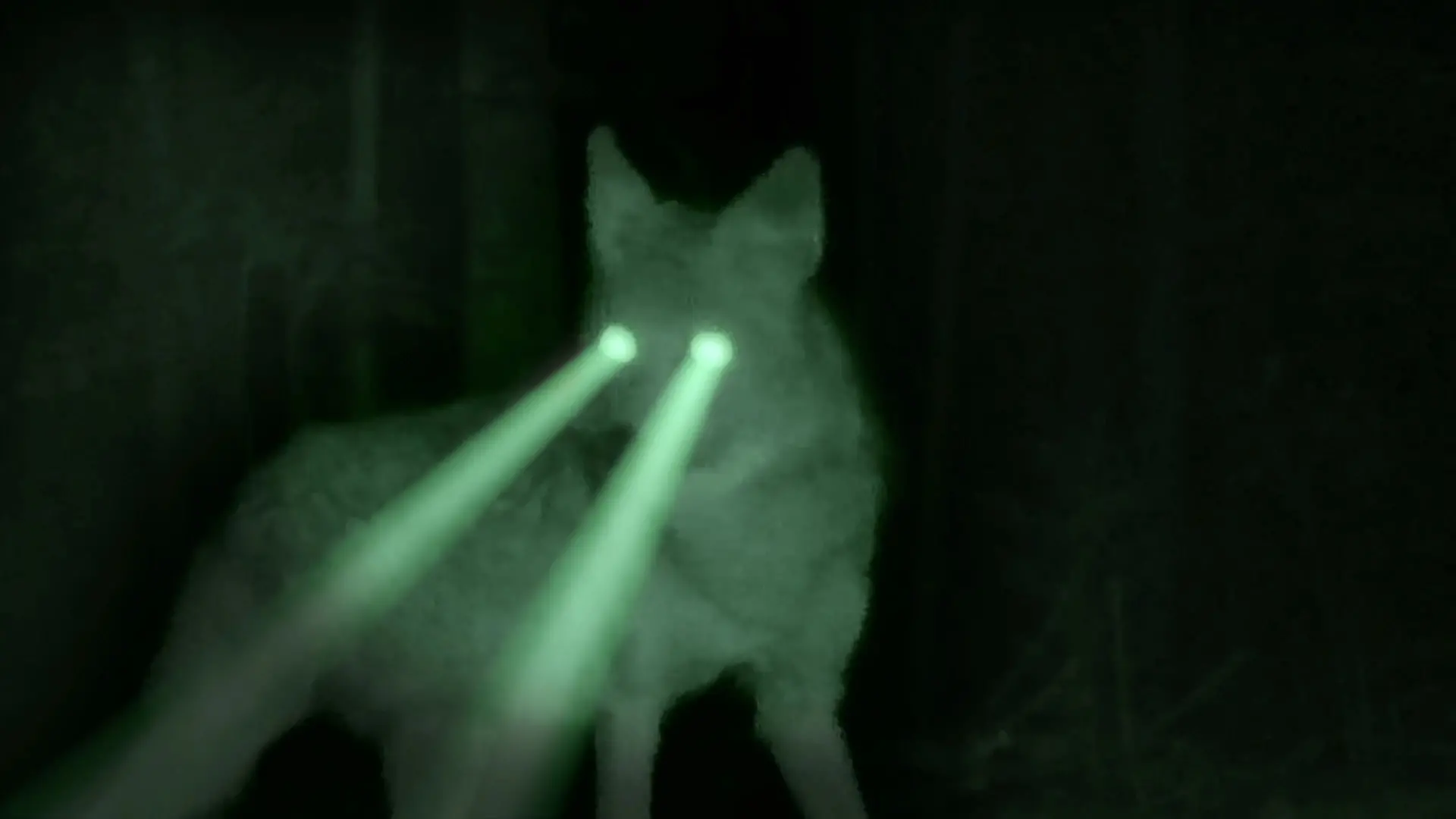 FORD-RANGER-MANDATOS-10_00668