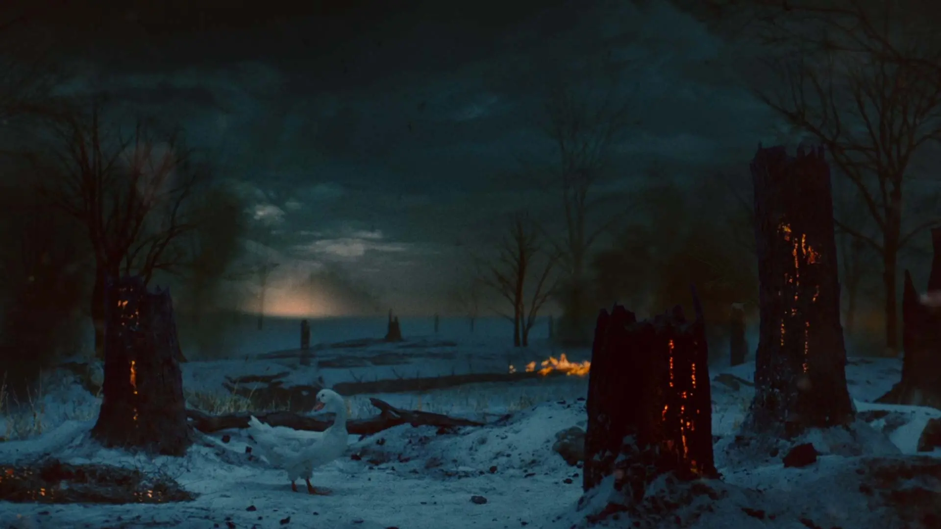 TIMHORTONS_DIRCUT_0429