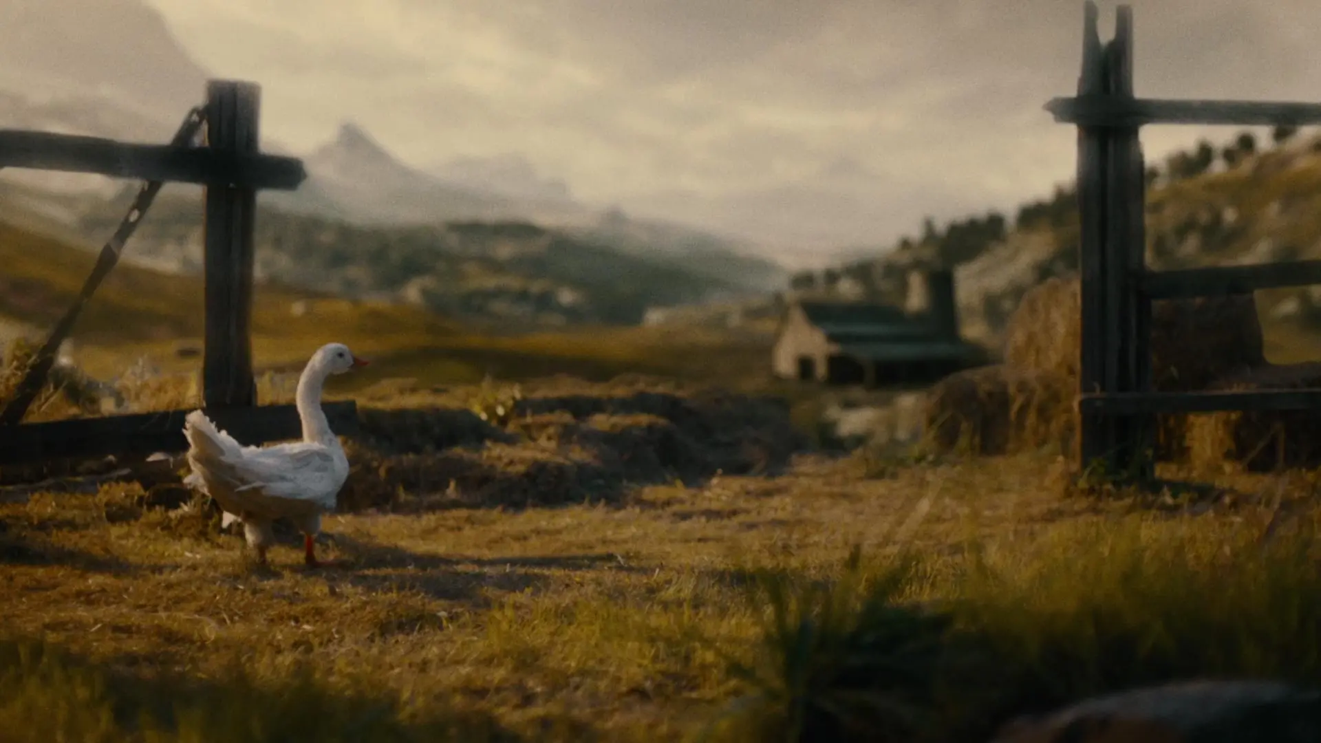 TIMHORTONS_DIRCUT_0431