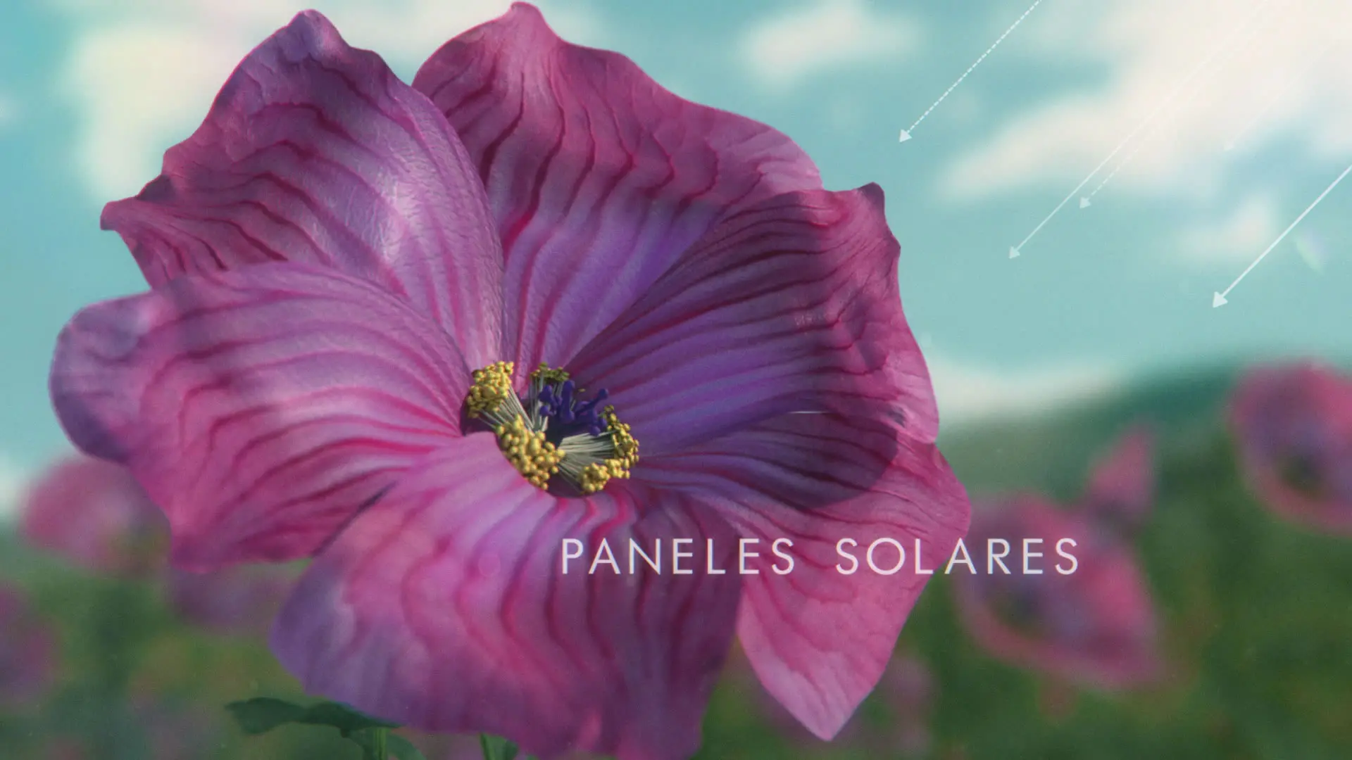 VILLAVICENCIO_NaturalezaIntacta_7_00365